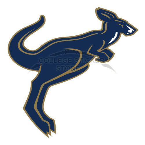Customs Akron Zips Iron-on Transfers (Wall Stickers)NO.3697